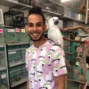 Meet your Posher, Miguel